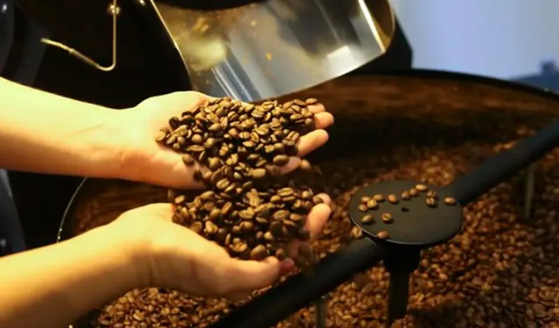 Produção de café deve fechar 2026 com 67,6 milhões