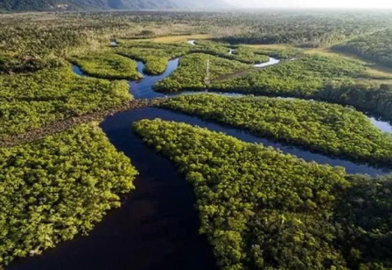 Em celebração ao Dia da Amazônia, decretos criam quatro reservas no Amazonas e ampliam parque nacional no Piauí