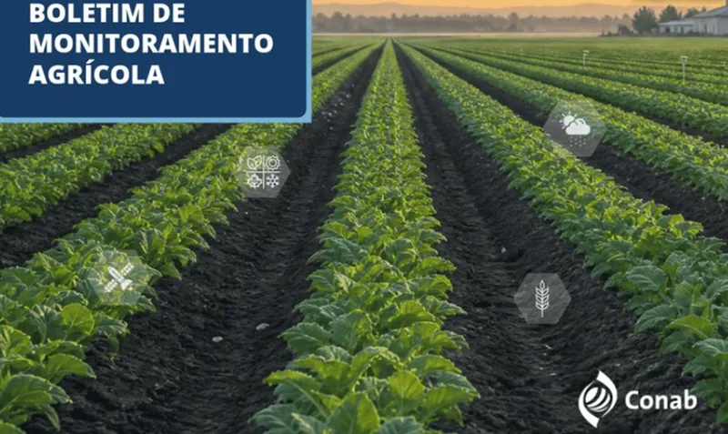 Em diversas frentes, safra 2026/2027